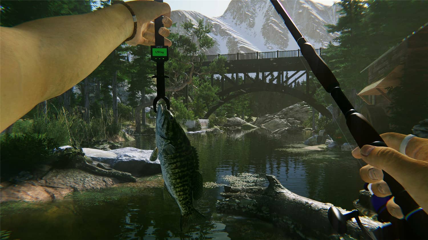 终 极 钓鱼模拟器2/Ultimate Fishing Simulator 2